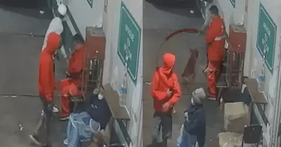 SMP: Delincuentes disparan contra perrito durante asalto a grifo