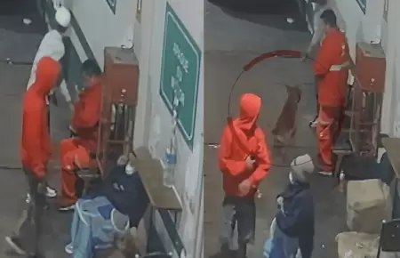 SMP: Delincuentes disparan contra perrito durante asalto a grifo