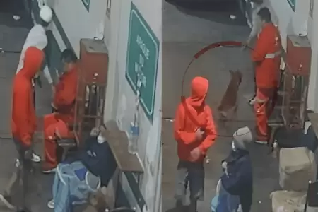 SMP: Delincuentes disparan contra perrito durante asalto a grifo