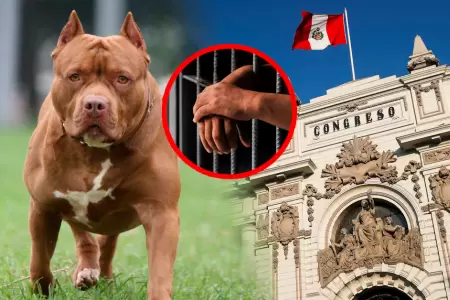 Penas m�nimas ser�an de hasta dos a�os y agravantes que pueden sumar hasta seis.