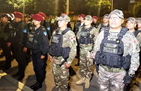 Ejecutivo intensifica operativos de control territorial en Ate.
