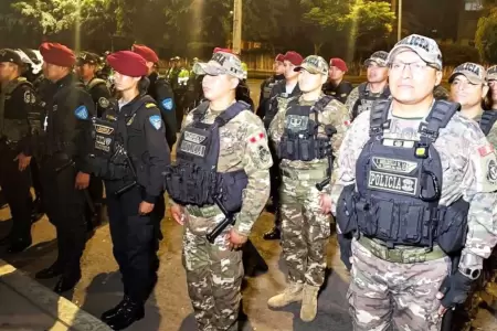 Ejecutivo intensifica operativos de control territorial en Ate.