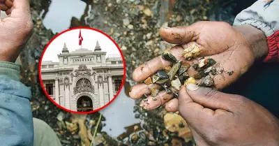 Congresista plantea crear registros que se asemejan al Reinfo.