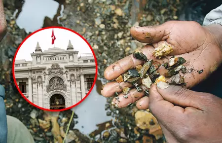 Congresista plantea crear registros que se asemejan al Reinfo.