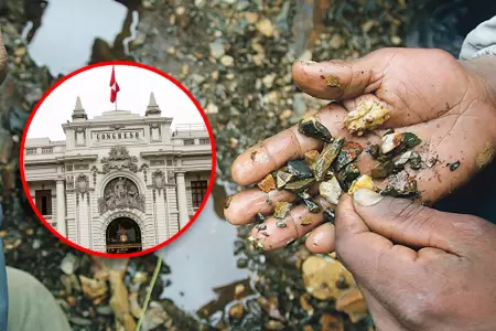 Congresista plantea crear registros que se asemejan al Reinfo.