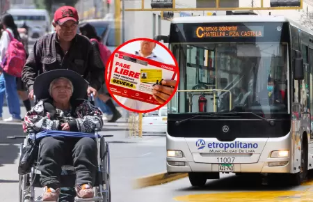 Iniciativa busca que acompa�antes de inscritos en el CONADIS accedan al pase lib