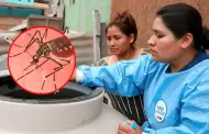 Minsa emite alerta epidemiol�gica por incremento de casos de dengue en diversas regiones del pa�s