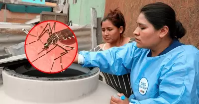Minsa emite alerta epidemiol�gica por incremento de casos de dengue