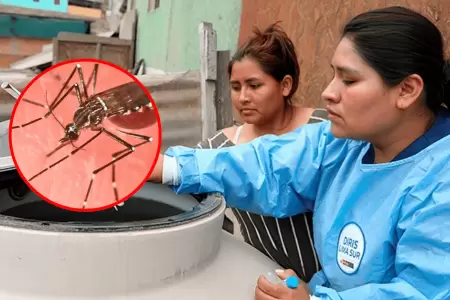Minsa emite alerta epidemiol�gica por incremento de casos de dengue