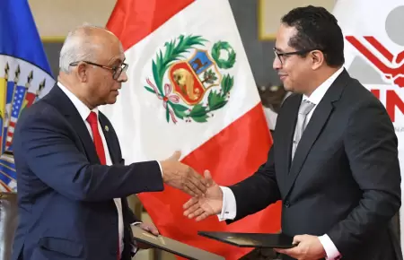 Misi�n de la OEA observar� elecciones generales en el Per�.