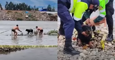 Rottweiler salv� de morir ahogado en r�o Mantaro.