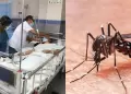 Alerta por incremento de dengue: Per� registr� m�s de 39 mil casos el a�o 2025