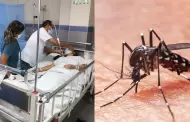 Alerta por incremento de dengue: Per� registr� m�s de 39 mil casos el a�o 2025