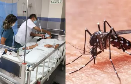 Casos de dengue alcanzaron los 39 mil en 2025.