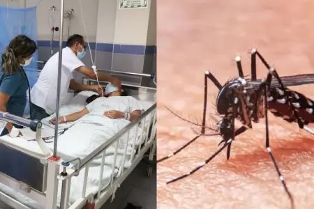 Casos de dengue alcanzaron los 39 mil en 2025.