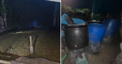 Incautan laboratorios e incineran productos relacionados al narcotr�fico