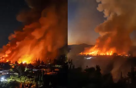 Incendios forestales en Chile dejan al menos 15 fallecidos