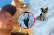 Hombre se salva de morir bajo el hielo gracias su chihuahua: "Sin �l, no me habr�an encontrado"