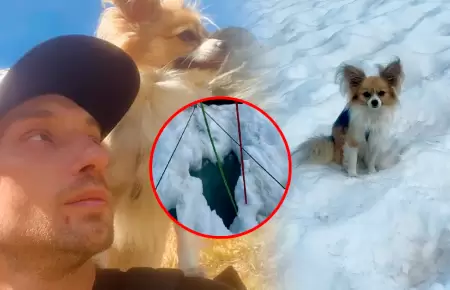 Hombre cay� tras una mala maniobra y equipo de rescate lleg� gracias al can.