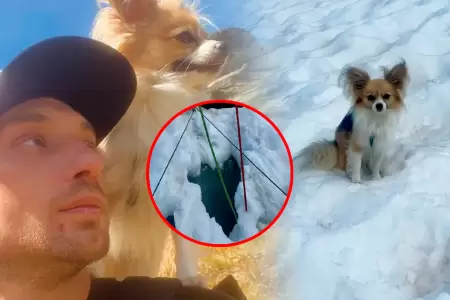 Hombre cay� tras una mala maniobra y equipo de rescate lleg� gracias al can.