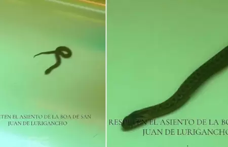 Serpiente en tren del Metro de Lima