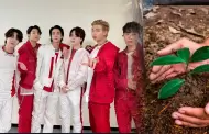 Fans peruanas de BTS lanzan NOVEDOSA PROPUESTA para mejorar vista de Lima desde el avi�n