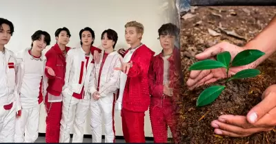 Fans peruanas de BTS proponen plantar �rboles en Lima