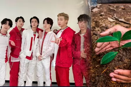 Fans peruanas de BTS proponen plantar �rboles en Lima