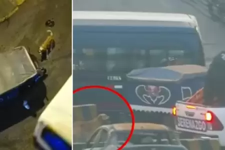 Perro sigue a su due�o hasta comisar�a