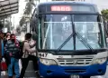 Lima y Callao: ATU anuncia mejoras en 82 paraderos de corredores de m�s de cinco distritos
