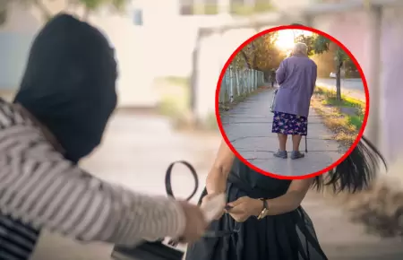 M�s de 15 a�os para sujeto que intent� robar a anciana.