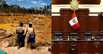 Congreso plantea p�rdida de esca�o a sentenciados por miner�a ilegal.