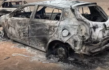 Autos quemados de los presuntos ladrones de cochinilla.