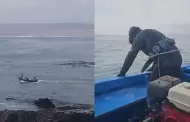 Tragedia en Arequipa: Dos jóvenes oriundos de Nasca desaparecen en playa del distrito de Lomas