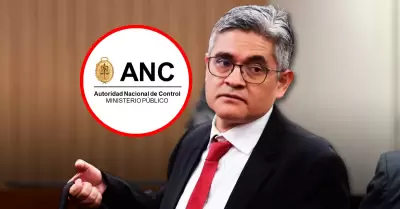 ANC inicia investigaci�n por llamado a no acatar la sentencia del TC.