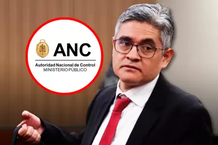 ANC inicia investigaci�n por llamado a no acatar la sentencia del TC.