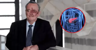 Mariano Barbacid solicita ayuda para curar c�ncer de p�ncreas en humanos