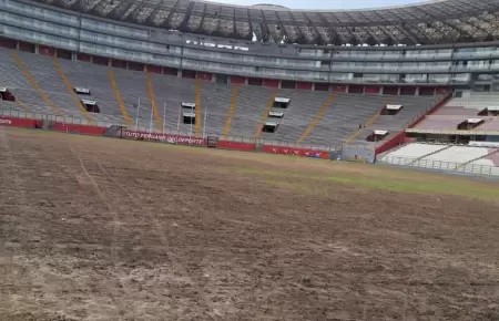 IPD contin�a trabajando para recuperar el c�sped del Estadio Nacional.