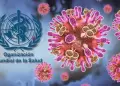 Virus Nipah: OMS inform� que tiene bajo riesgo de contagio a nivel global y recomienda no restringir viajes