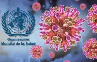 Virus Nipah: OMS inform� que tiene bajo riesgo de contagio a nivel global y recomienda no restringir viajes