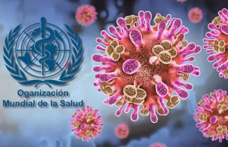 OMS inform� que el virus Nipah tiene bajo nivel de contagio