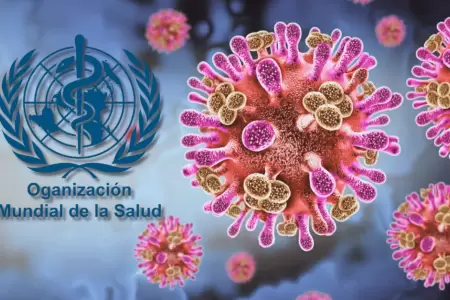 OMS inform� que el virus Nipah tiene bajo nivel de contagio