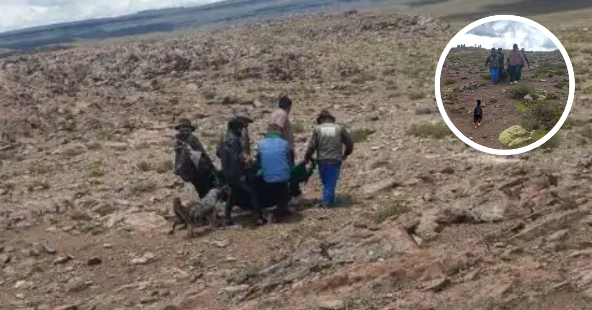 Adulto mayor fallece junto a su perrito y alpacas en Ayacucho: ¡Lamentable! Fueron impactados por un rayo