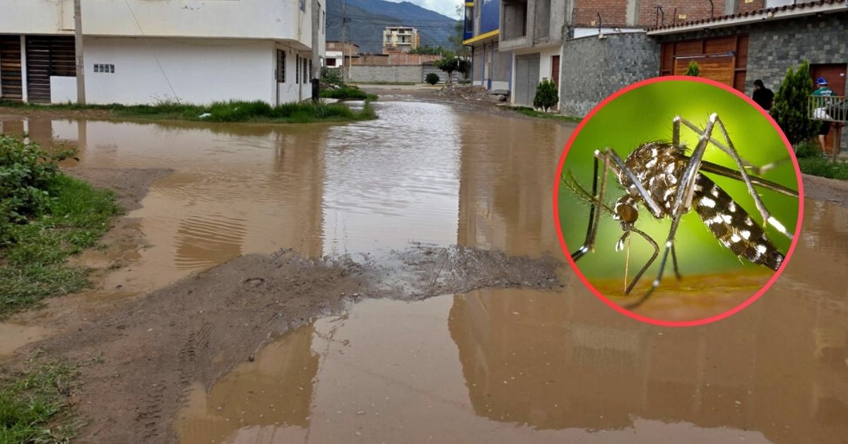 ¡Cuidado! Incrementa la presencia de dengue tras lluvias y huaicos: Aprende cómo protegerte