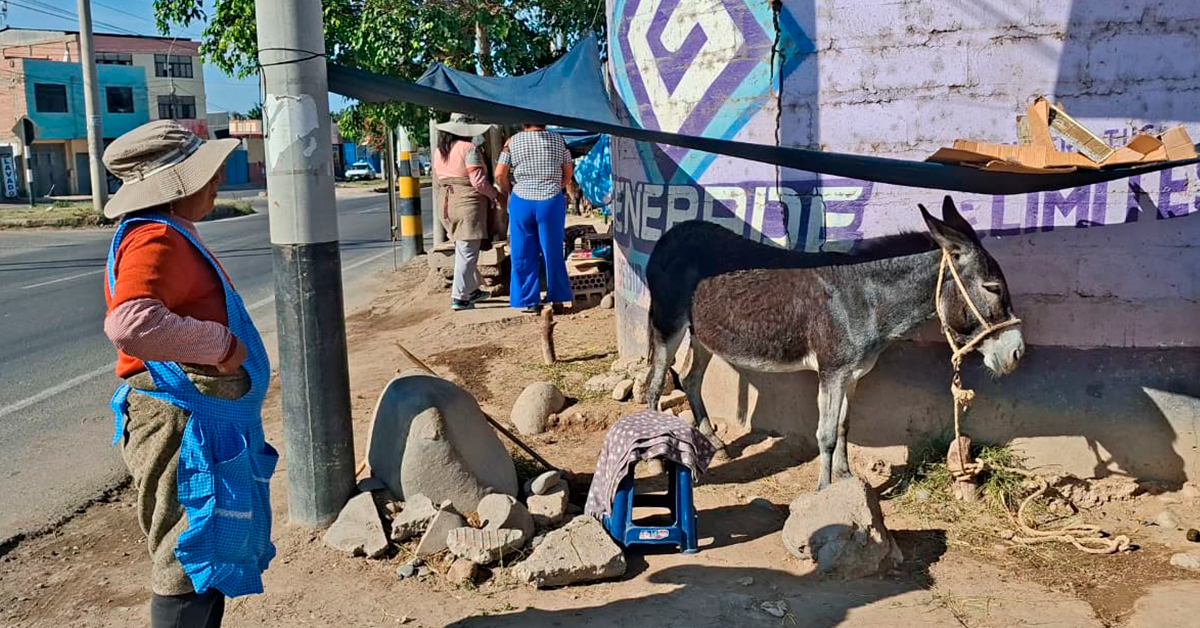 Tacna: Intervienen a ciudadana por vender leche de burra en la vía pública pese a prohibición municipal