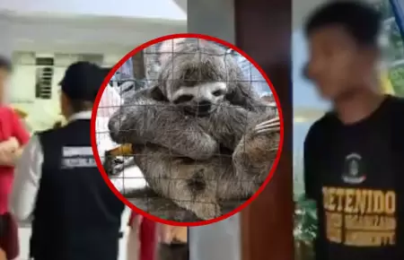 Dos detenidos durante allanamiento por tr�fico de animales silvestres