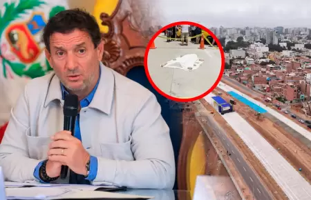 Reggiardo se�al� que el proyecto se viene desarrollando "en etapas".