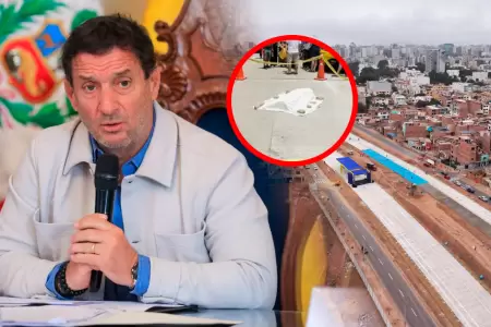 Reggiardo se�al� que el proyecto se viene desarrollando "en etapas".