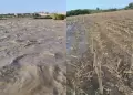 �Cultivos en riesgo! Alerta en Ica por DESBORDE de r�o Pisco: Agricultores preocupados