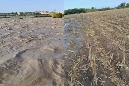 Ica: Desborde del r�o Pisco inunda m�s de 10 hect�reas de cultivos.